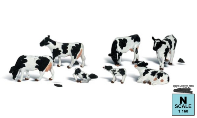 Product Photo - Click To View Larger Image