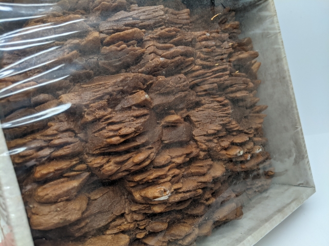 Product Photo - Click To View Larger Image