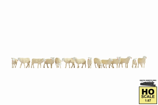 Product Photo - Click To View Larger Image