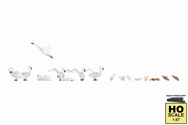 Product Photo - Click To View Larger Image