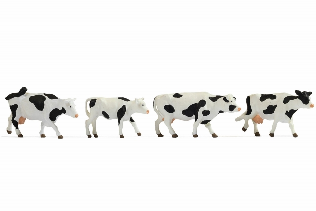 Product Photo - Click To View Larger Image
