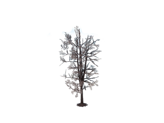 Product Photo - Click To View Larger Image