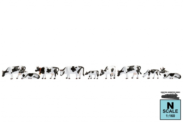 Product Photo - Click To View Larger Image