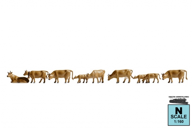 Product Photo - Click To View Larger Image