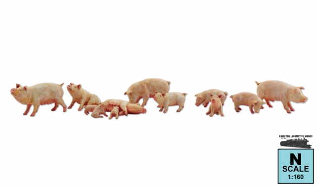 Product Photo - Click To View Larger Image