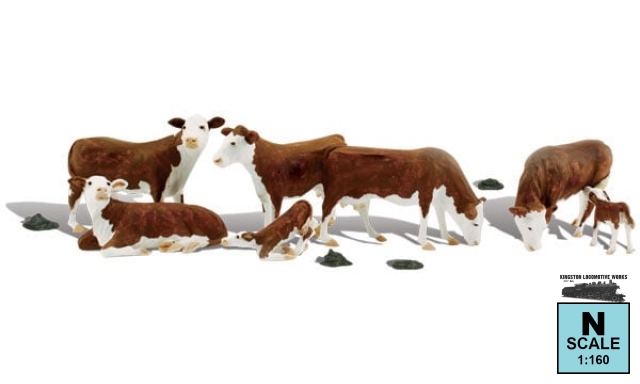 Product Photo - Click To View Larger Image