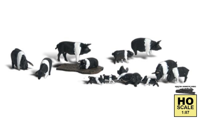 Product Photo - Click To View Larger Image