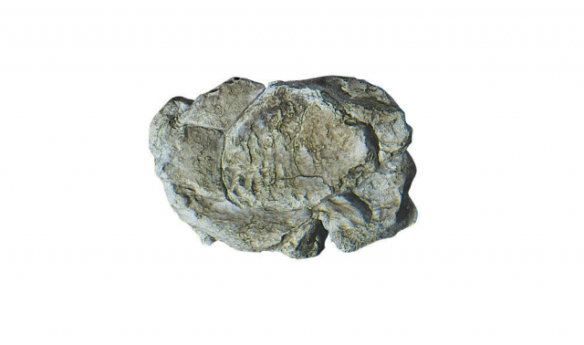Product Photo - Click To View Larger Image